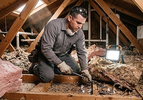 Rodents in Your Houston Attic? It May Be Time for Attic Restoration