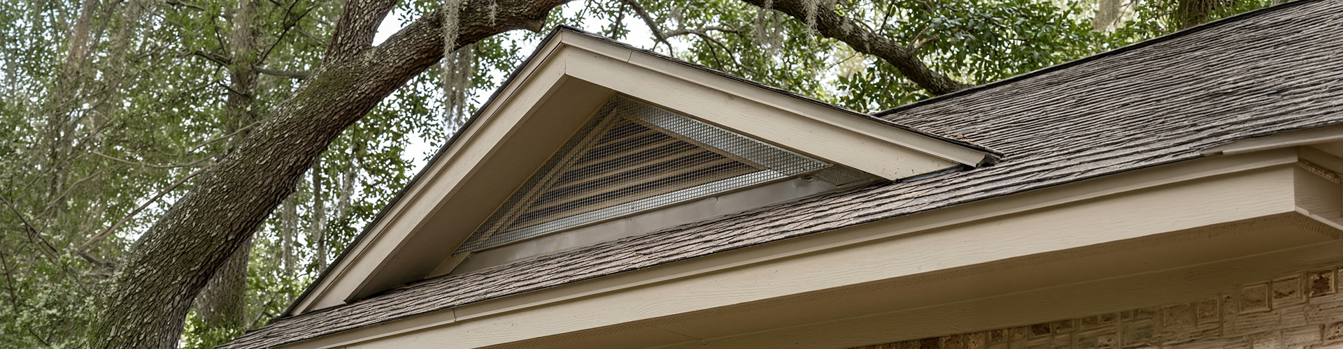 Wildlife Removal in La Porte, TX