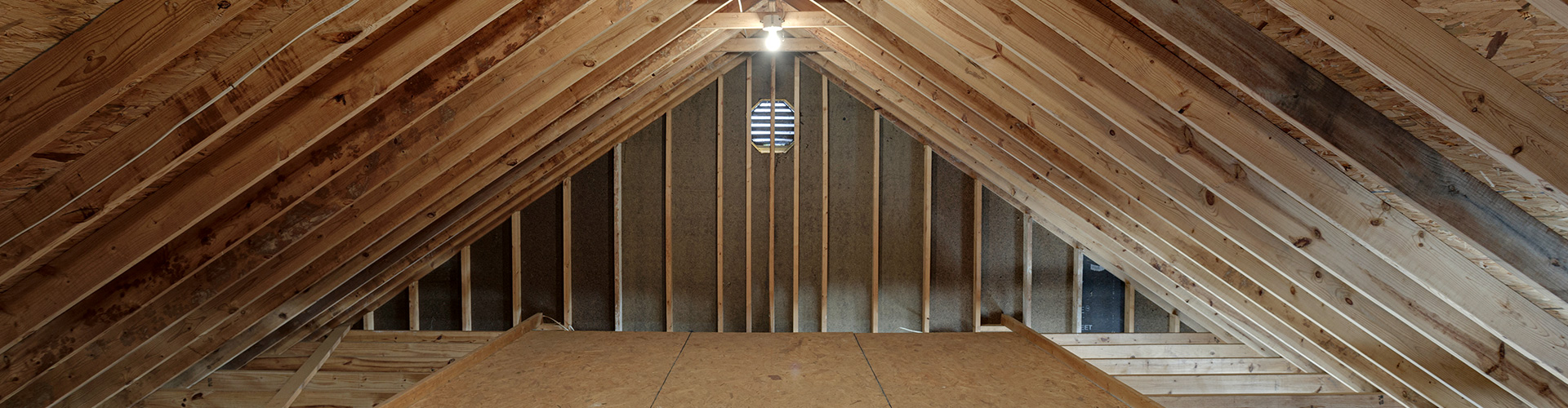 Home Repairs After Wildlife Removal in Houston