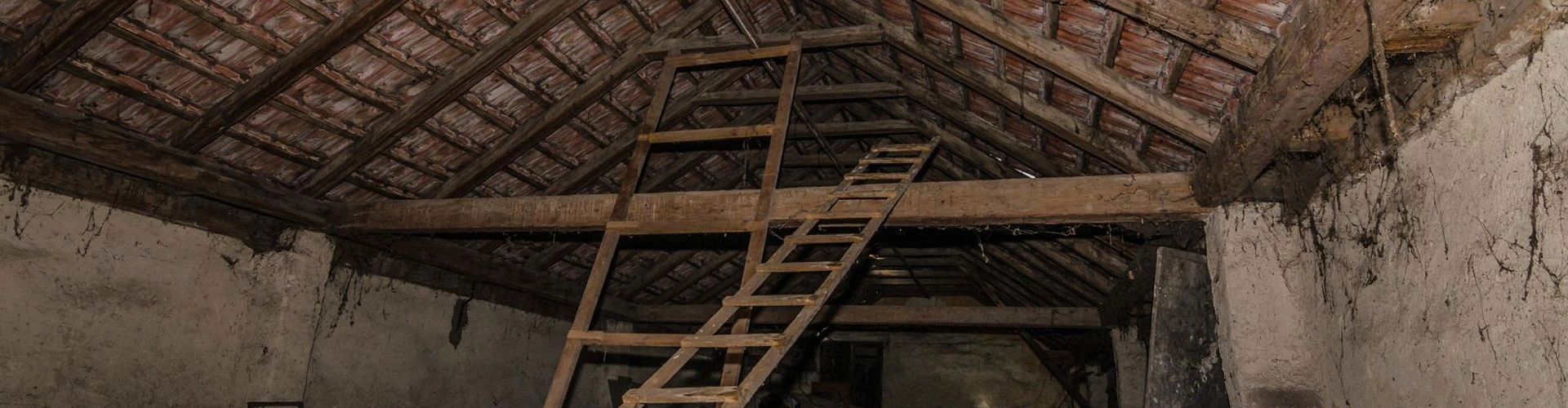 Critter Proofing Homes in Houston