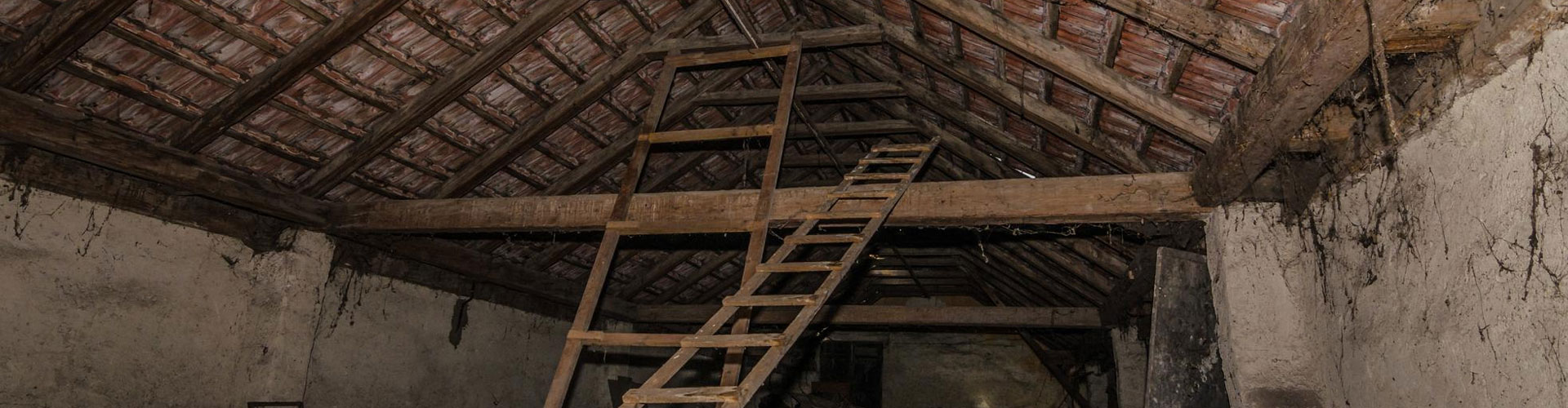 Siding and Shingle Repairs That Keep Wildlife Out in Houston