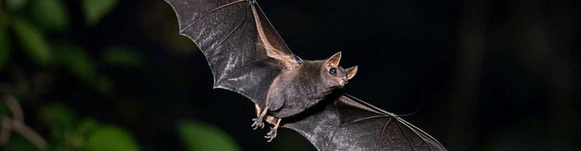 What Houston is Saying About Us